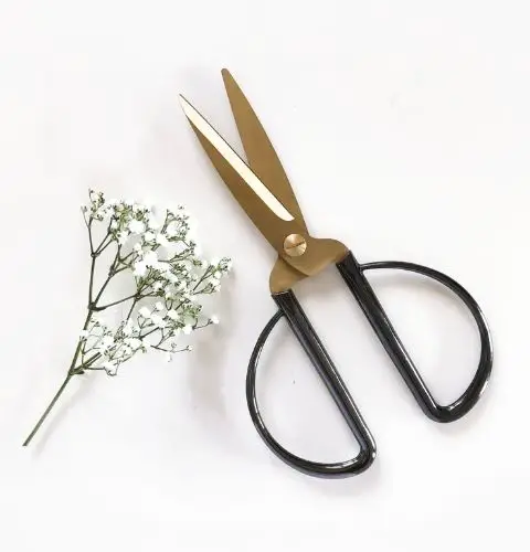 scissors and flowers